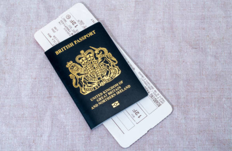 Camouflage passport for sale